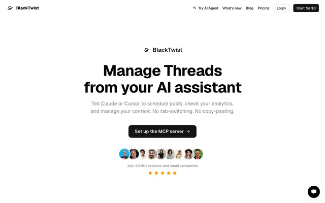 BlackTwist MCP screenshot