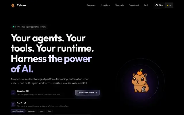 Cybara screenshot
