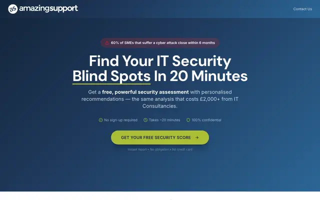 Amazing Support IT Audit screenshot