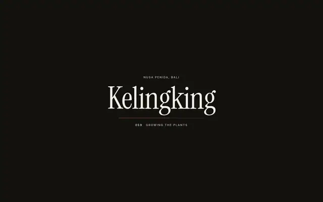 Kelingking screenshot